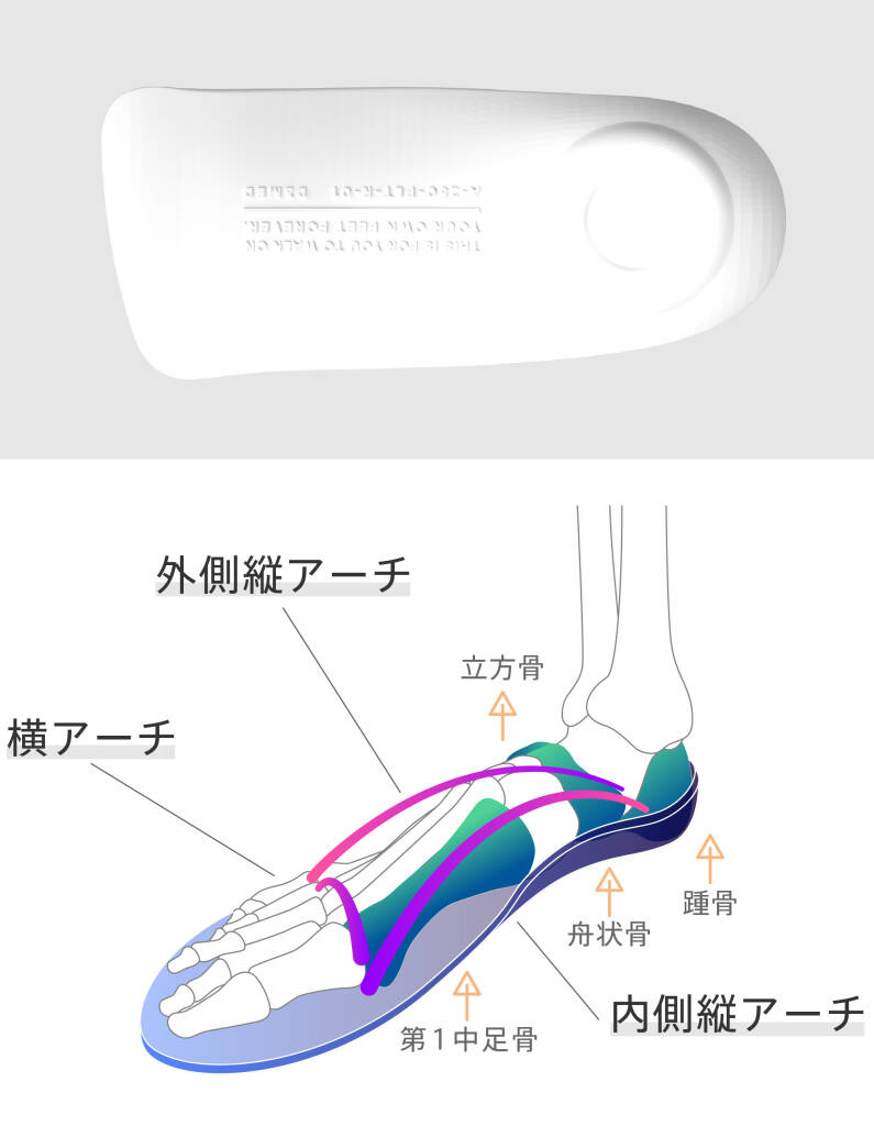 硬い骨格補正プレート - 足のアーチを形成し、足本来の推進力・衝撃吸収・安定感を引き出し、負担を軽減する